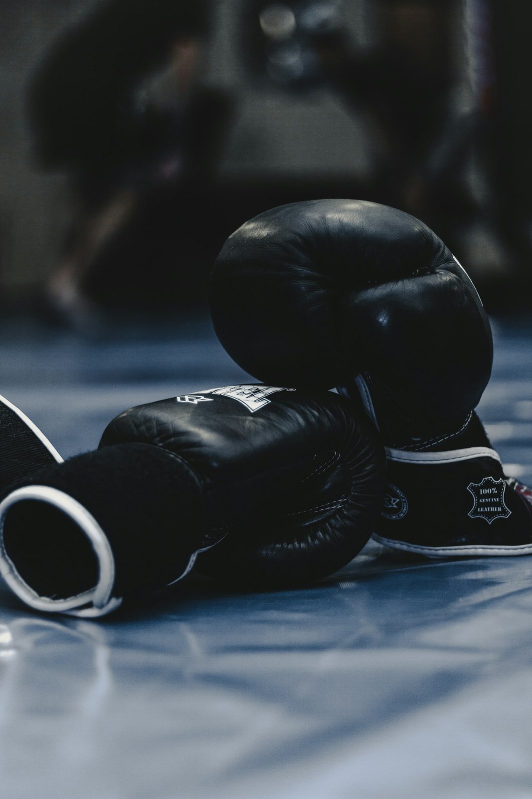 Boks & Kickboks